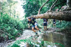 BIB: 
                            <button type="button" onclick="openModal(25443378)" class="btn btn-primary btn-sm float-right btn-popup" data-toggle="modal" data-target=".modal-high-quality">
                        <i class="fas fa-shopping-cart"></i> Add to Cart
                    </button>
                                            <button type="button" onclick="isThisMe(25443378, true)" class="btn btn-success btn-sm float-right btn-popup btn-isme hidden" data-toggle="tooltip" data-placement="bottom" title="นี่คือรูปของคุณใช่ไหม คลิกที่นี่เพื่อเอาเข้าอัลบั้ม">
                        <i class="fas fa-plus"></i> Add to album
                    </button>
                    <button type="button" onclick="isThisMe(25443378, false)" class="btn btn-warning btn-sm float-right btn-popup btn-isnotme hidden">
                        <i class="fas fa-ban"></i> Remove from album
                    </button>